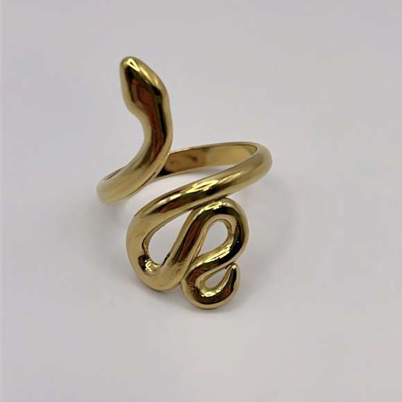 Mystical Starter Kit (Pendulums and Board w/Snake Ring and earrings) NWOT - Picture 6 of 7